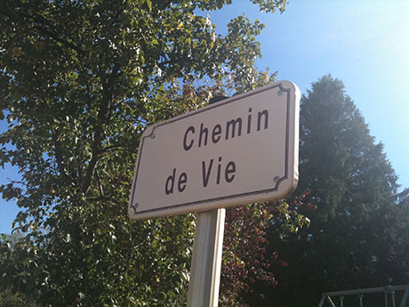 un panneau de chemin de vie en nature