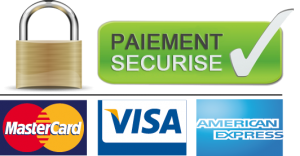 Voyance par skype paiement securise