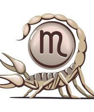 scorpion