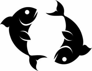 poisson