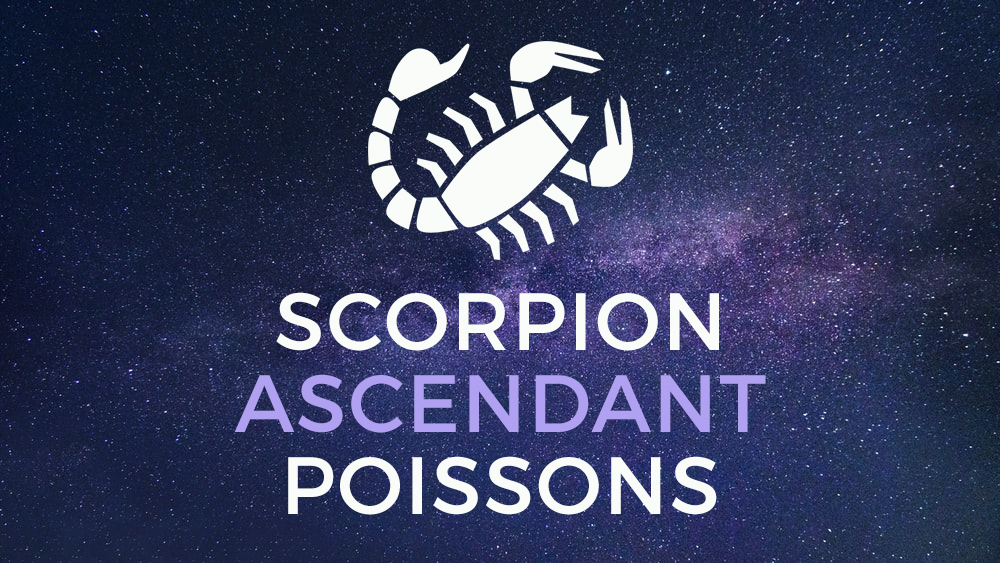 scorpion poissons