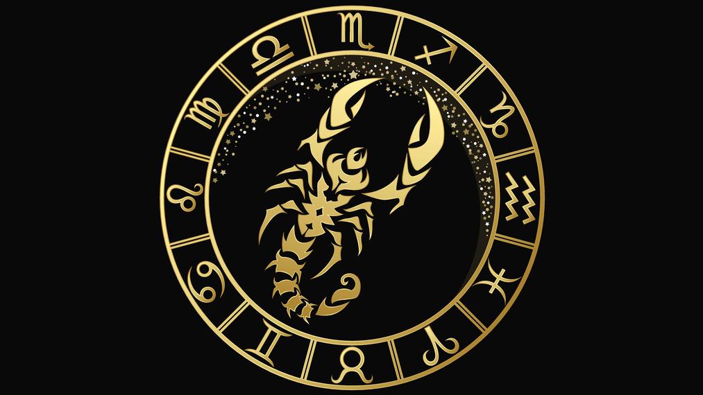 scorpion