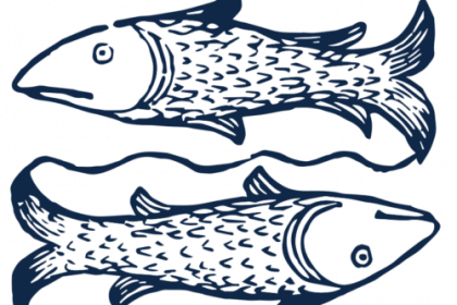 Pisces-1-500×383
