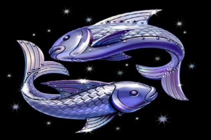 poissons poissons