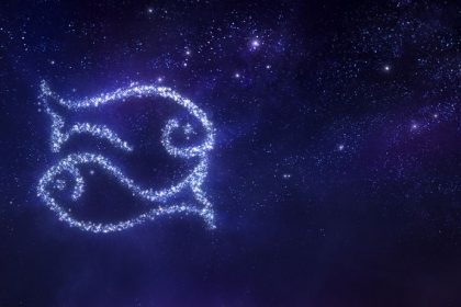 poissons poissons