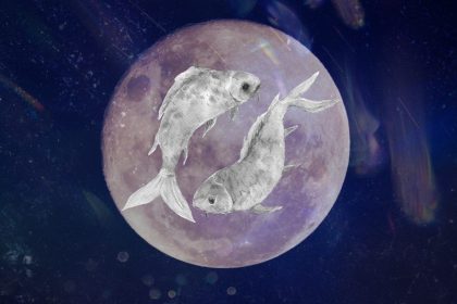 poissons poissons
