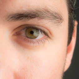 oeil esteban fre