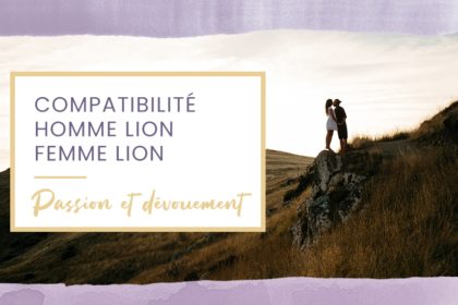 lion lion
