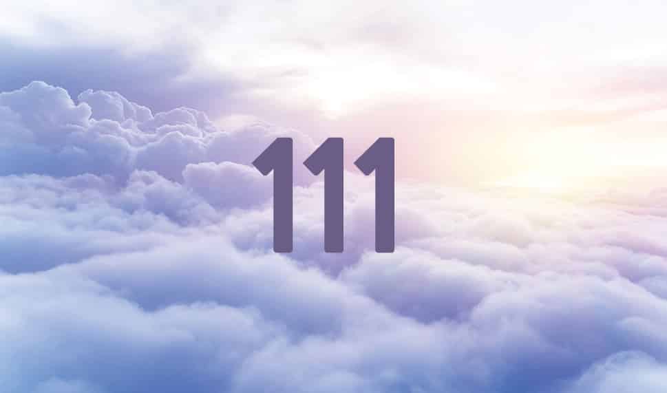 111