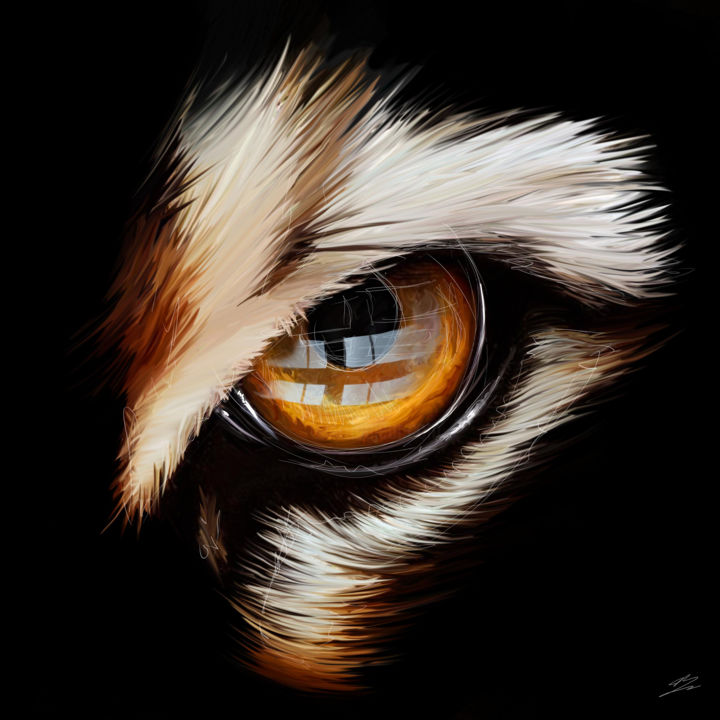 L’oeil de tigre : propriétés et vertus en lithothérapie