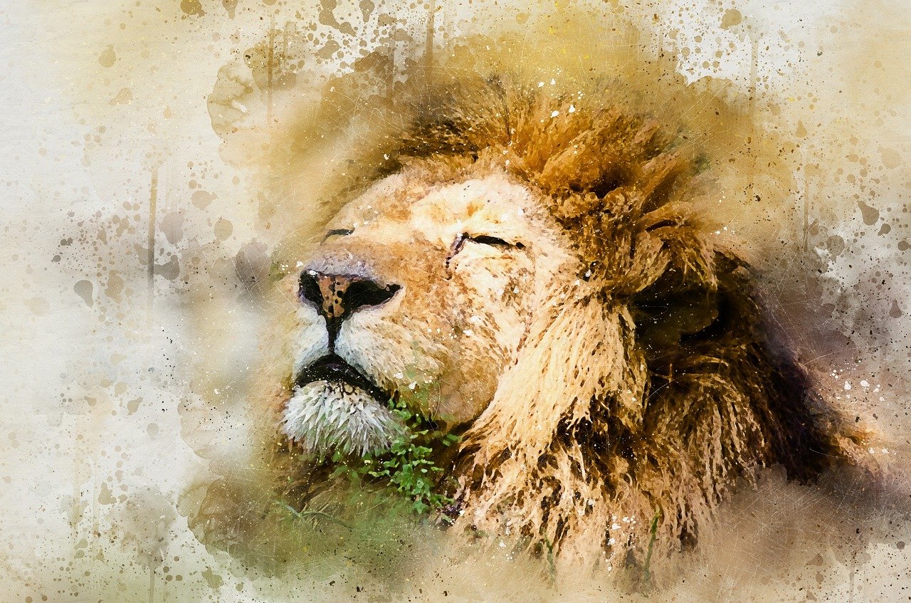 qualite defaut lion